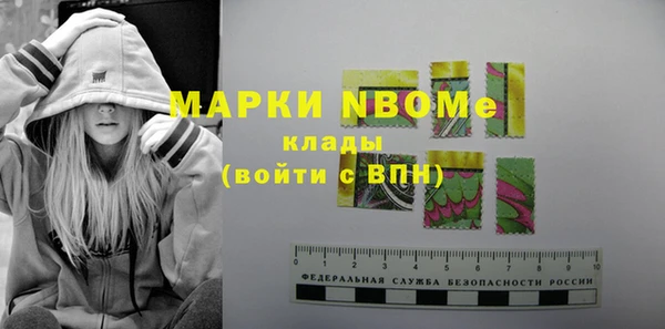 гидра Богданович