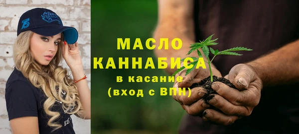 крисы Бородино