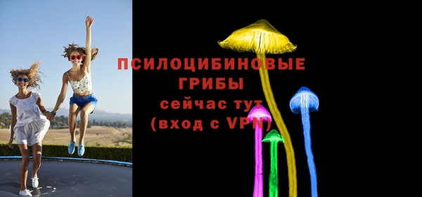 крисы Бородино