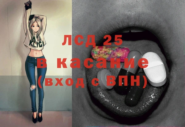гидра Богданович
