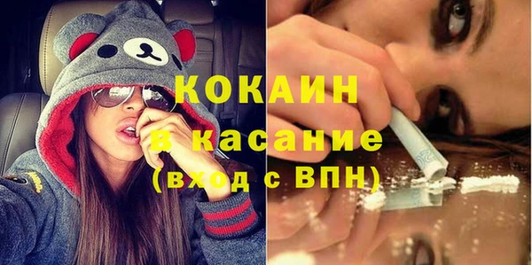крисы Бородино