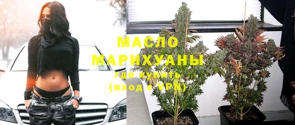 гидра Богданович