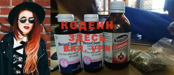 крисы Бородино