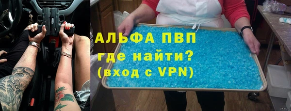 крисы Бородино