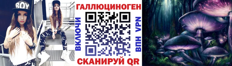 Псилоцибиновые грибы мицелий  цена   Баксан 